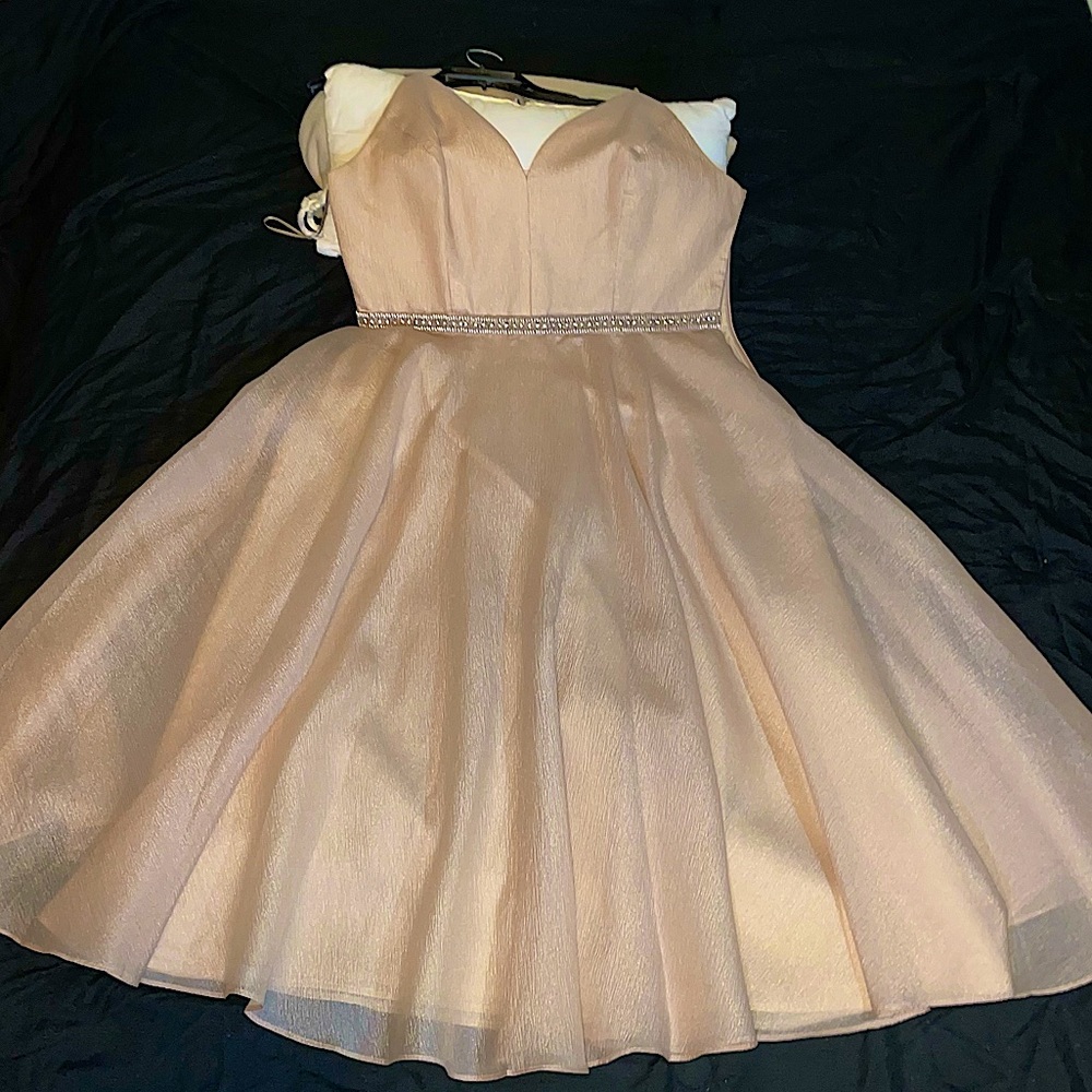 Evening Dress